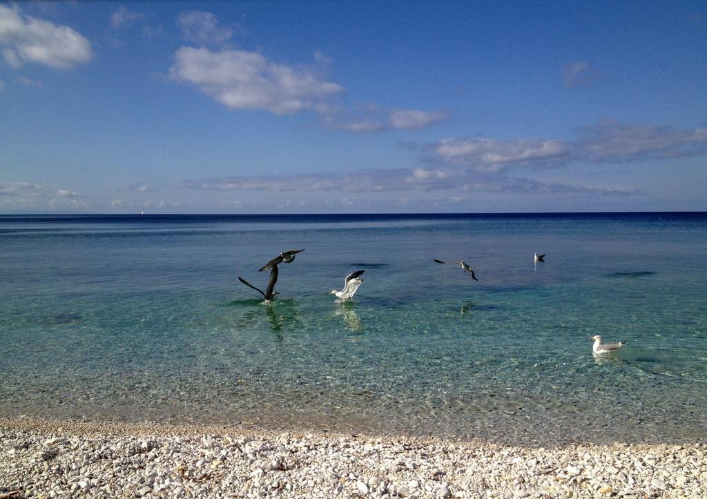 Appartamento Ponticello By Helloelba Portoferraio Buitenkant foto